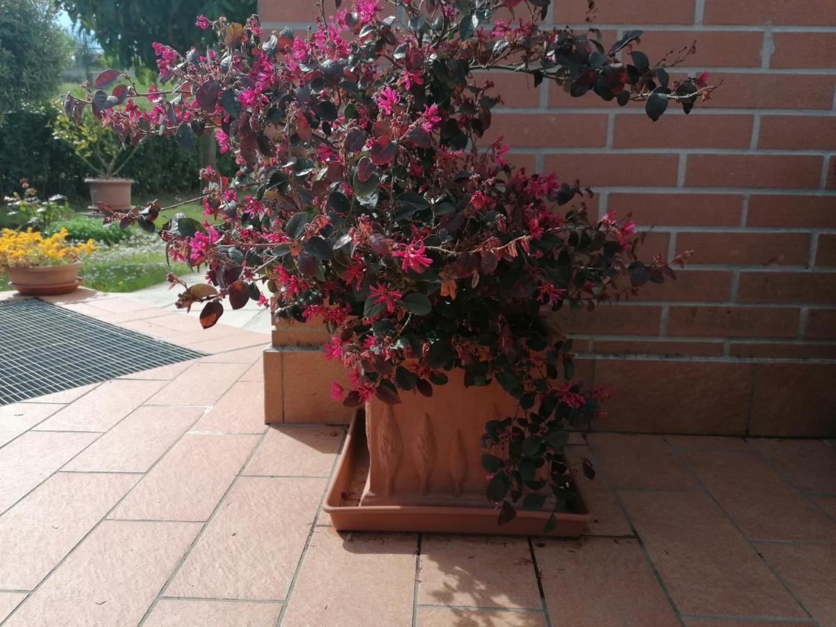 Goccia in Valdorcia Smart Home San Quirico dʼOrcia Esterno foto